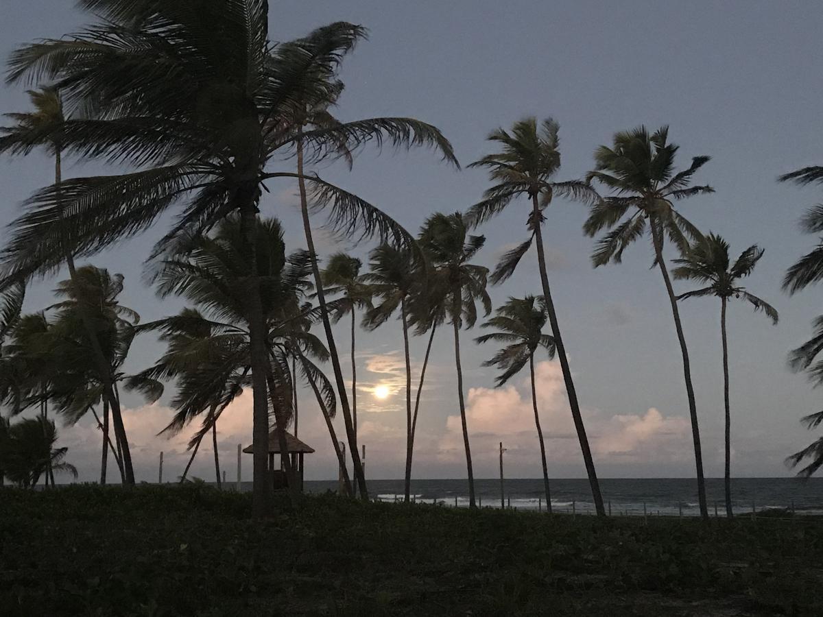 Vilage Em Praia Do Forte Esterno foto
